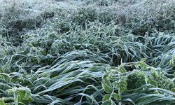 Yarın ve Çarşamba sabah saatlerinde yer yer don olayı bekleniyor