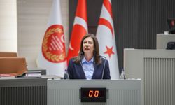 Meclis’te tasarruf tedbirleri tartışması… İncirli eleştirdi, Üstel hükümetin önlemlerini anlattı