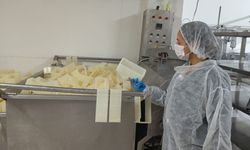 Değirmenlik-Akıncılar Belediyesi'nden gıda denetimi