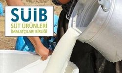 Süt Üreticileri Uyardı: Sektör Çöküşün Eşiğinde