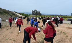 Güzelyurt’ta “Yeniden Yeşil Kıbrıs” projesi kapsamında 120 zeytin fidanı dikildi