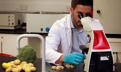 Gıda denetimleri… Yerli ürünlerin 6'sında tavsiye dışı ve limit üstü bitki koruma ürünü