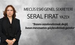 Meclis eski Genel Sekreteri Seral Fırat yazdı