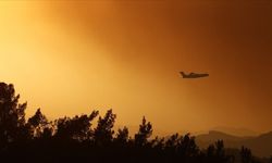 Kanada'da yangın söndürme uçağı düştü