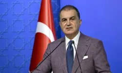 AK Parti Sözcüsü Çelik AP’nin Kıbrıs kararına tepki gösterdi