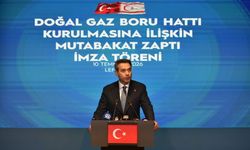 Bayraktar: Doğalgaz Önce Elektriğe Güç Verecek