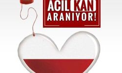 Metropol'de ağır yaralanan kadına kan aranıyor