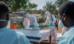 Kongo Demokratik Cumhuriyeti'nde Ebola vakaları 3 bin 748'e çıktı