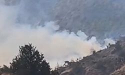 Tirmen’deki yangın kontrol altına alındı