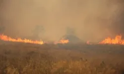 Yunanistan'ın İskiri Adası'ndaki orman yangını ikinci gününde de devam ediyor