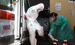 İtalya'da Batı Nil virüsü sebebiyle yıl başından beri 432 vaka, 17 ölüm kaydedildi