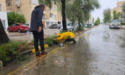 Lefkoşa’da 17 ağaç devrildi