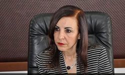 Eski Ombudsman Dirdarlı: “Karma Oyun Kaldırılması Anayasa’ya Aykırıdır”