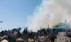 Baf’ta peş peşe çıkan yangınlar şüphe yarattı: Kasıt ihtimali araştırılıyor