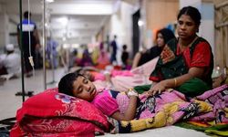 Bangladeş'te dang humması nedeniyle yılbaşından bu yana 117 kişi öldü