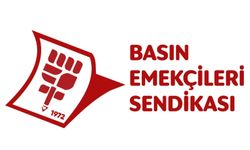 Basın-Sen: Devletin görevi, kadınları öldürülmeden önce korumaktır