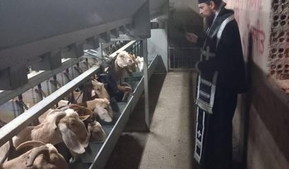 Şap salgınına karşı papaz önlemi