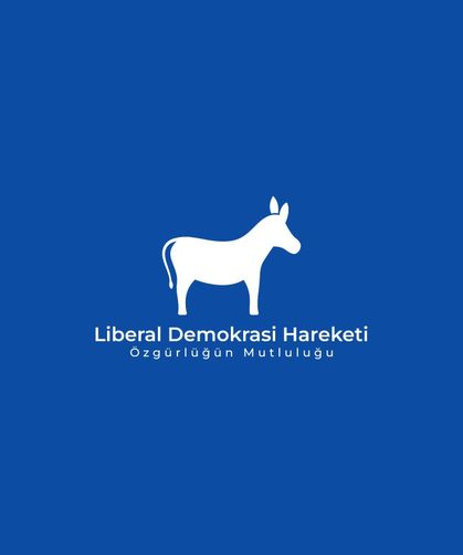 Liberal Demokrasi Hareketi: “2026 bütçesinin yaklaşık yüzde 75’i maaş ve cari transferlere gidiyor”