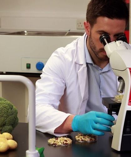 Yerli ürünlerin 6'sında tavsiye dışı ve limit üstü bitki koruma ürünü