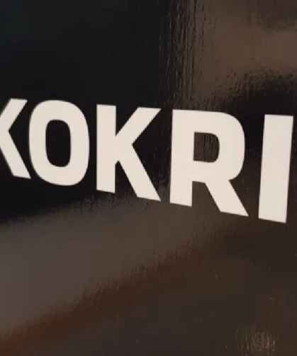 Norveç, Epstein ile bağlantılı eski diplomatların soruşturmasında Fransa ile işbirliği yapacak