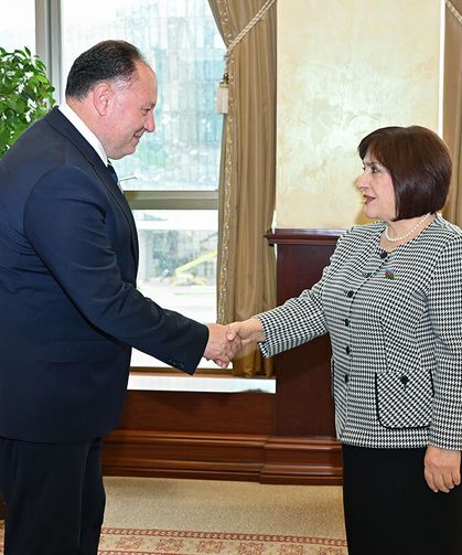 Öztürkler, Azerbaycan Bağımsızlık Günü’nün 108. yıl dönümünü kutladı