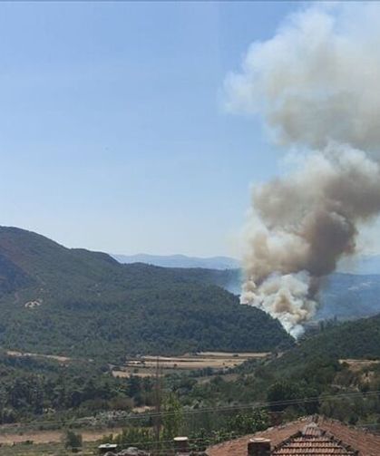 Manisa'nın Soma ilçesinde orman yangını çıktı