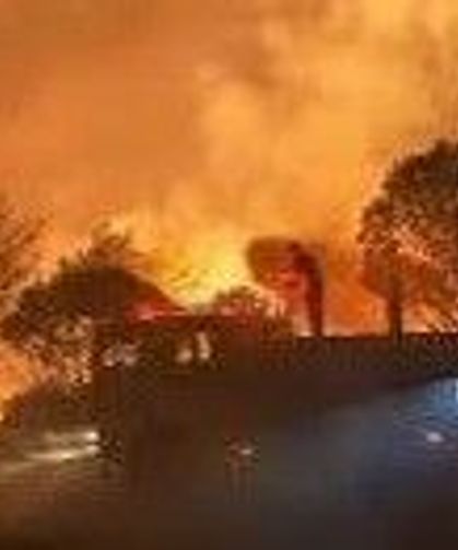 Adana, Antalya ve Mersin'de orman yangını: Bir kişi hayatını kaybetti