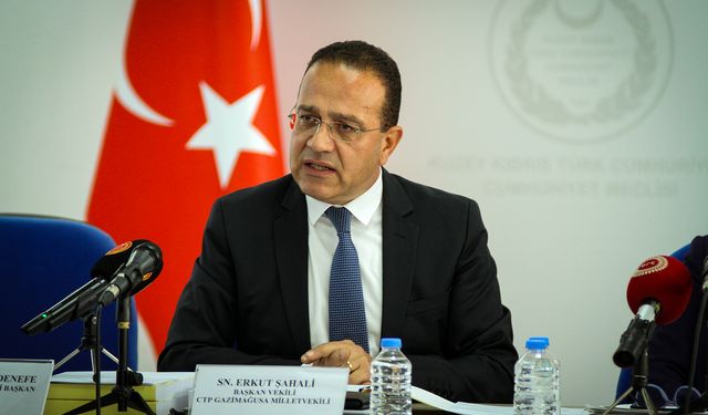 Şahali: “Bütçe, 2025 yılının açıkla tamamlanacağı öngörüsünde”