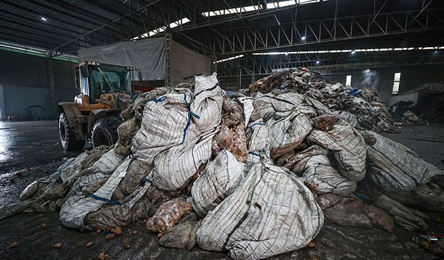 Bitki hastalığı tespit edilen patateslerin Mersin'de imhası sürüyor