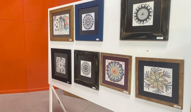 Ferdiye Yurdakul’un “Hayat Döngüsü” sergisi Ercan Havalimanı’nda açıldı