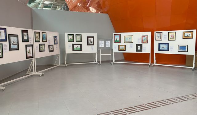 “Kıbrıs’taki Kuşlar” resim sergisi Ercan Havalimanı’nda açıldı