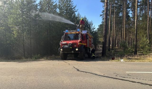 Almanya'nın Brandenburg eyaletinde çıkan orman yangınından dolayı bir mahalle tahliye edildi