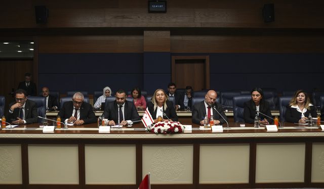 TBMM Güvenlik ve İstihbarat Komisyonu Başkanı Tipioğlu, Cumhuriyet Meclisi heyetiyle görüştü