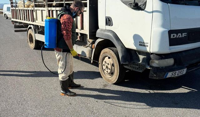 Lefke Belediyesi, şap hastalığına karşı dezenfeksiyon uygulaması başlattı