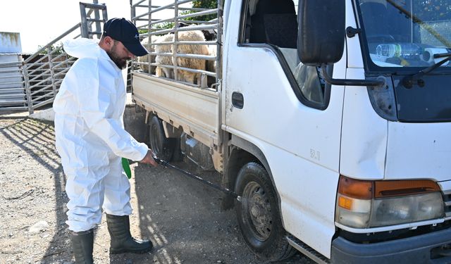 Güzelyurt Belediyesi'nden şap hastalığına yönelik tedbirler