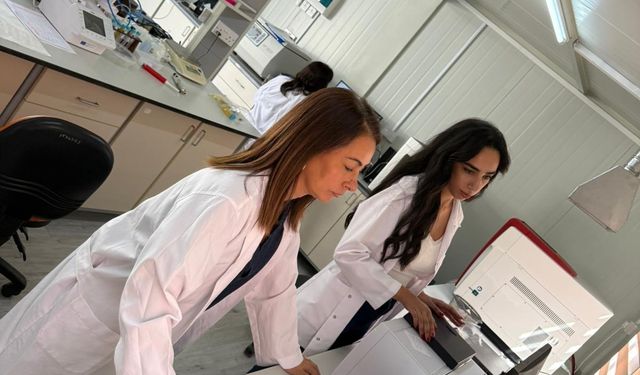 Piyasada zeytin yağı denetimi.. 1 ürün tağşişli