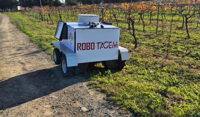 Üzüm bağlarında verim ve kaliteyi artıracak otonom robot geliştirildi