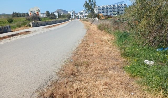 Lefke Çevre ve Ekoloji Derneği: Ot kurutma ilaçları kuşları öldürüyor, ekosisteme zarar veriyor