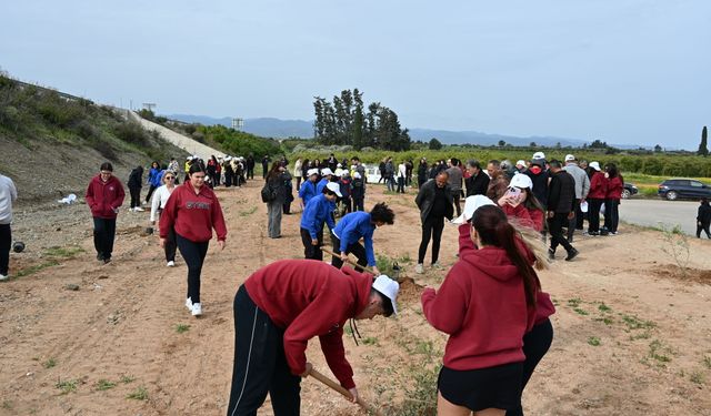 Güzelyurt’ta “Yeniden Yeşil Kıbrıs” projesi kapsamında 120 zeytin fidanı dikildi