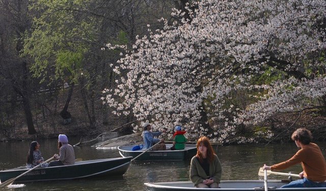 Mart 2026, dünyanın “en sıcak dördüncü” mart ayı oldu