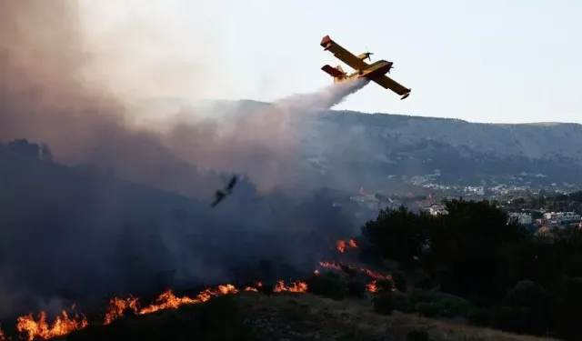 Rodos Adası'nda orman yangını