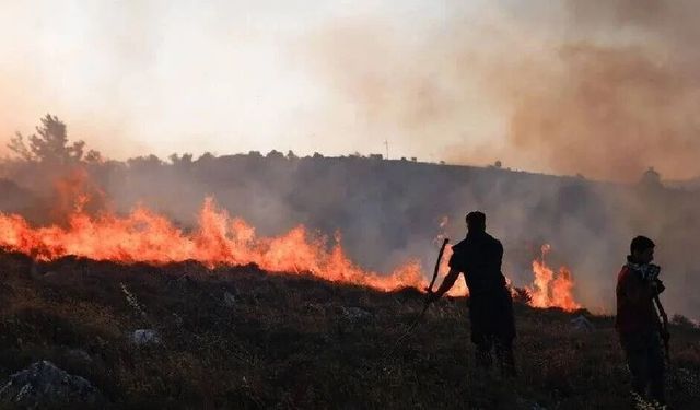 Yunanistan'da çöl sıcakları orman yangınlarını artırdı