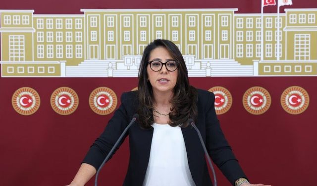 Kadıgil hakkında "Cumhurbaşkanına hakaret" ve "Tehdit" suçlarından soruşturma