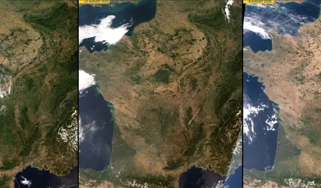 Rekor seviyede sıcaklıkların görüldüğü Fransa'da 1373 dere kurudu