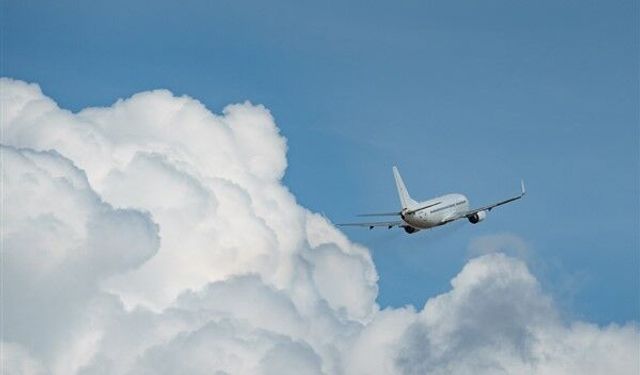 ABD'de charter uçağının düşmesi sonucu 8 kişi yaşamını yitirdi