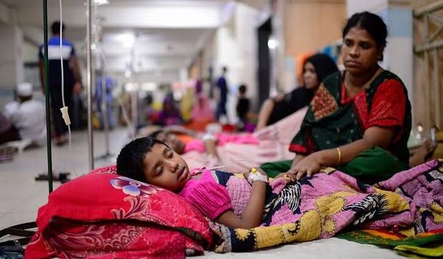 Bangladeş'te dang humması nedeniyle yılbaşından bu yana 117 kişi öldü