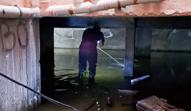 Gazimağusa Belediyesi, Batı Nil virüsüne karşı mücadeleyi yoğunlaştırdı