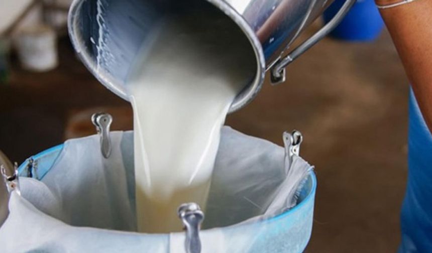 Çiğ süt fiyatlarında yüzde 19 artış