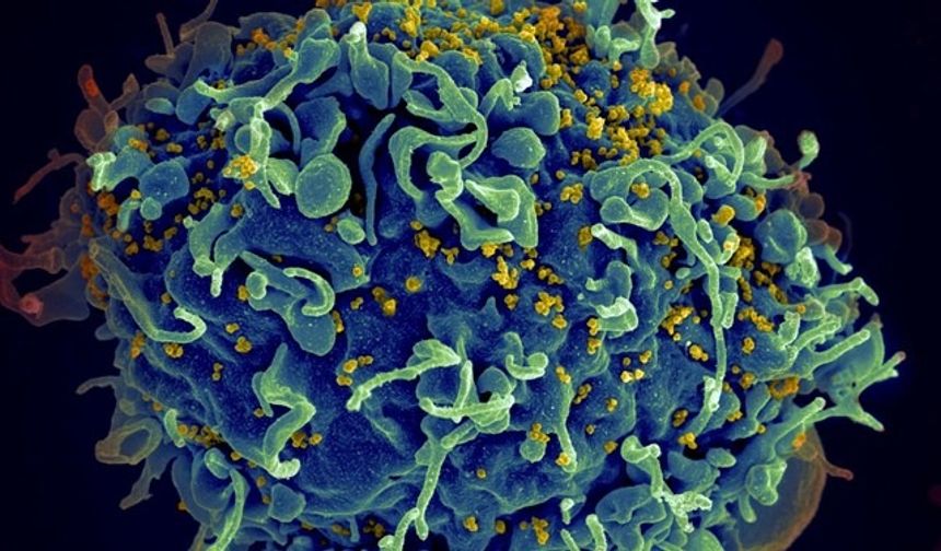 HIV tedavisinde çığır açacak adım