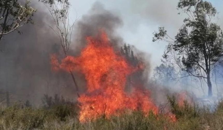 Mersin'de ormanlık alanda yangın çıkaran 2 zanlı tutuklandı
